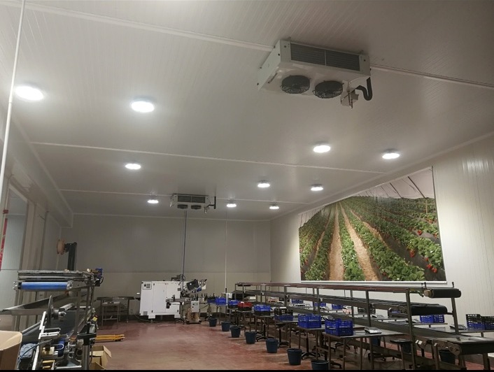 Instalación frigorífica para industria hortofrutícola